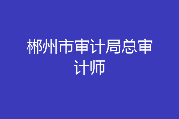 郴州市审计局总审计师