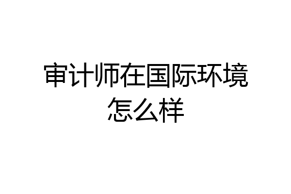 审计师在国际环境怎么样