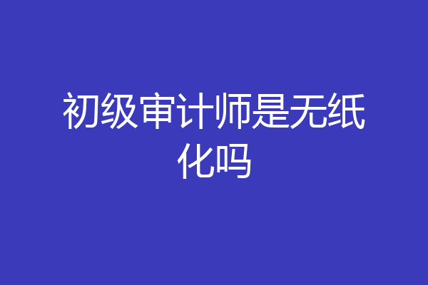 初级审计师是无纸化吗