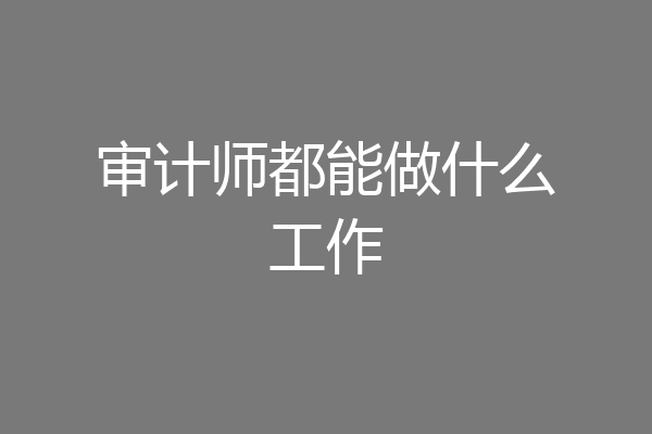 审计师都能做什么工作