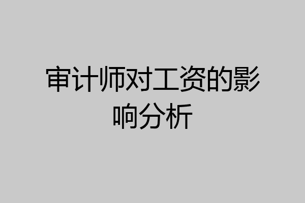 审计师对工资的影响分析