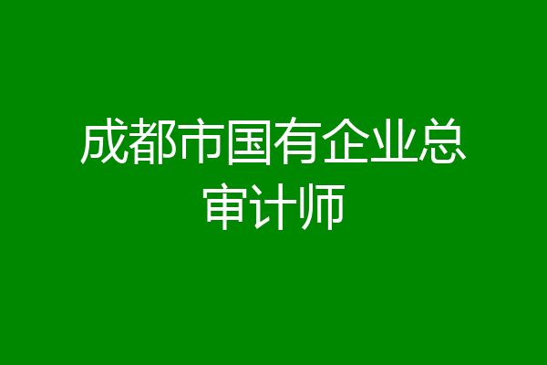 成都市国有企业总审计师