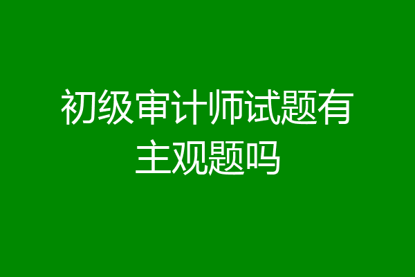 初级审计师试题有主观题吗