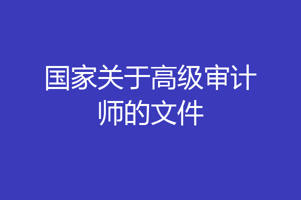 国家关于高级审计师的文件