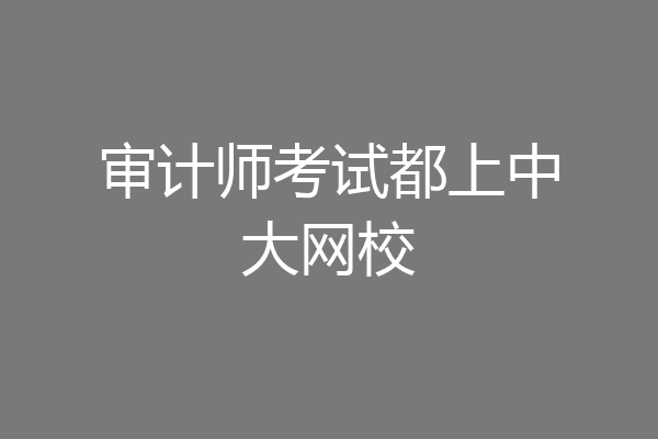 审计师考试都上中大网校
