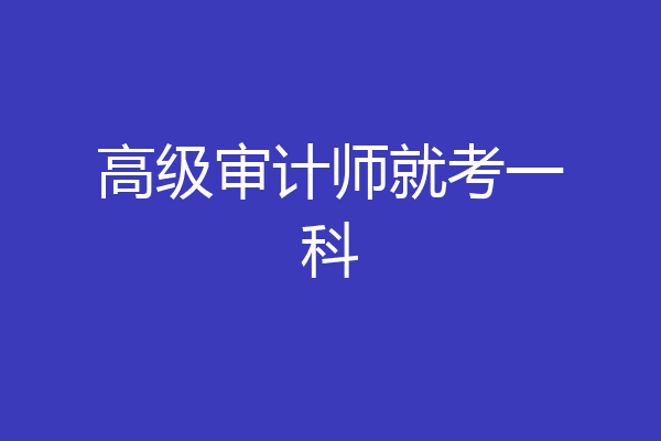 高级审计师就考一科