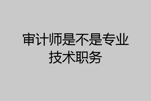 审计师是不是专业技术职务