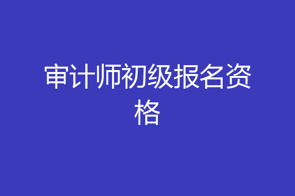 审计师初级报名资格