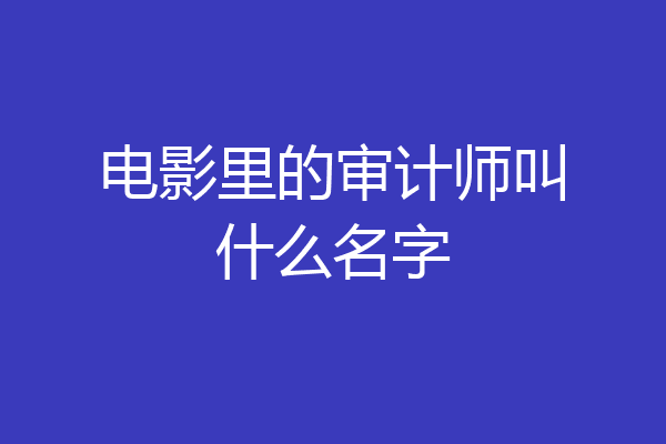 电影里的审计师叫什么名字