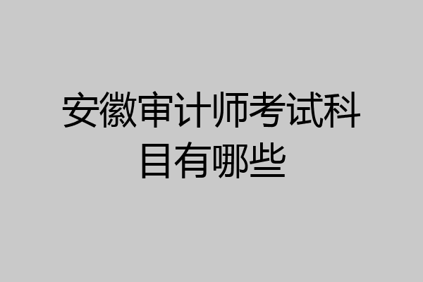 安徽审计师考试科目有哪些