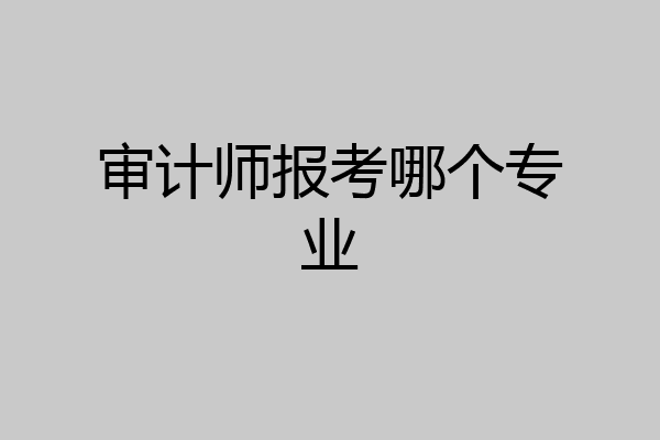 审计师报考哪个专业