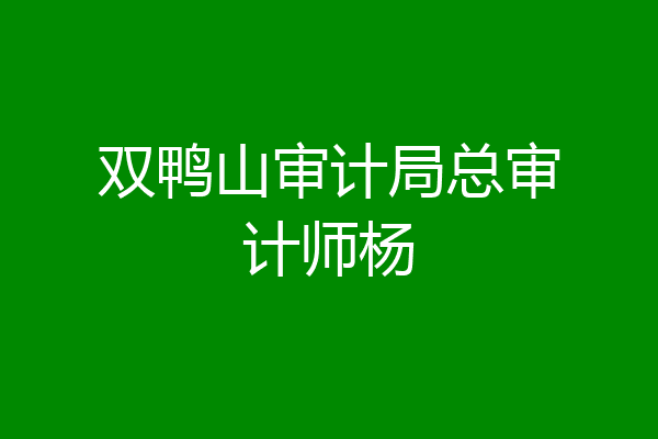 双鸭山审计局总审计师杨