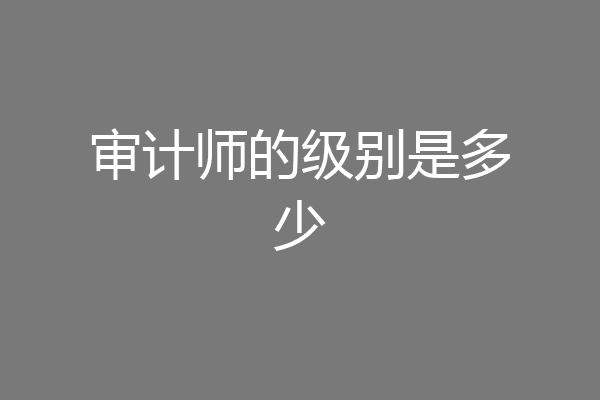 审计师的级别是多少