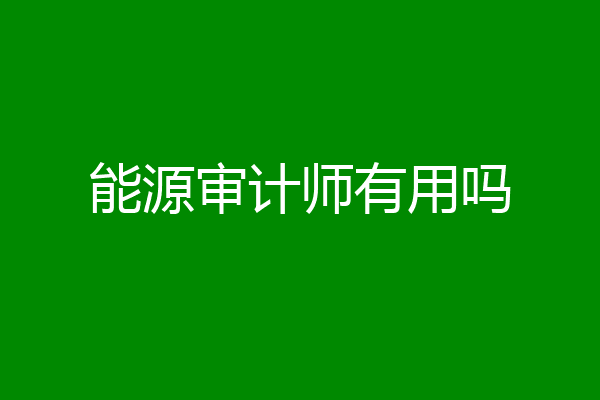 能源审计师有用吗