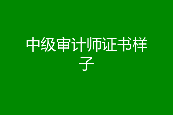 中级审计师证书样子
