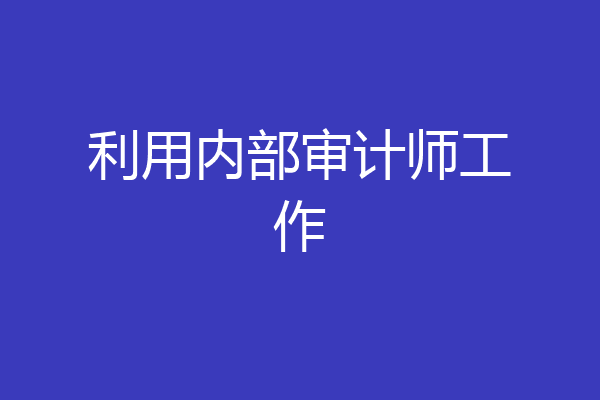 利用内部审计师工作
