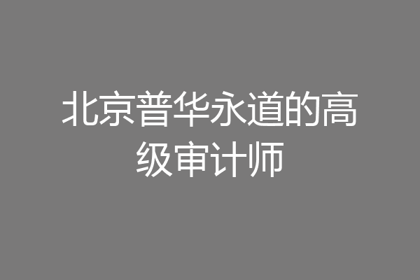 北京普华永道的高级审计师