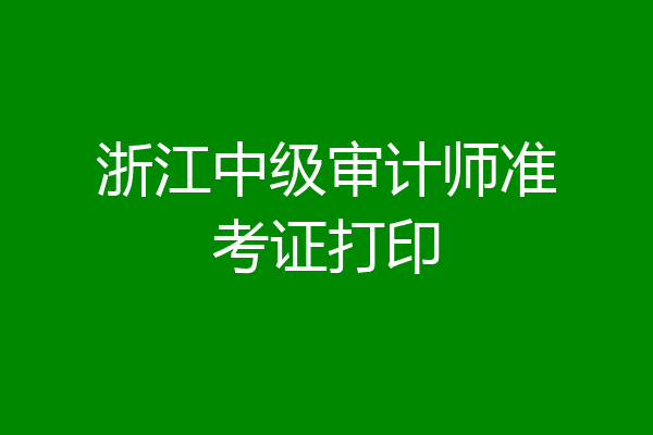 浙江中级审计师准考证打印
