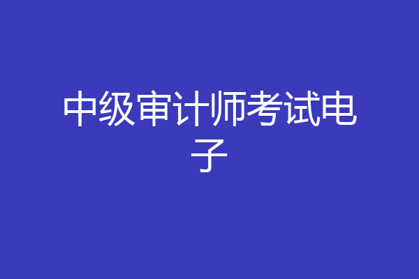 中级审计师考试电子