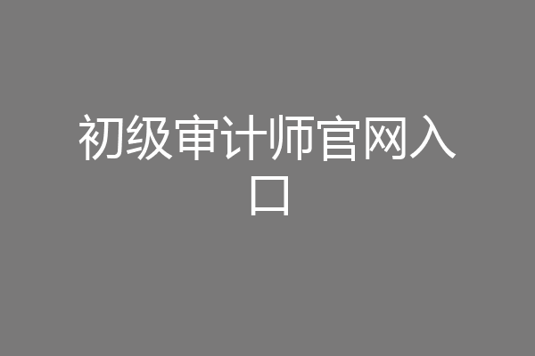 初级审计师官网入口