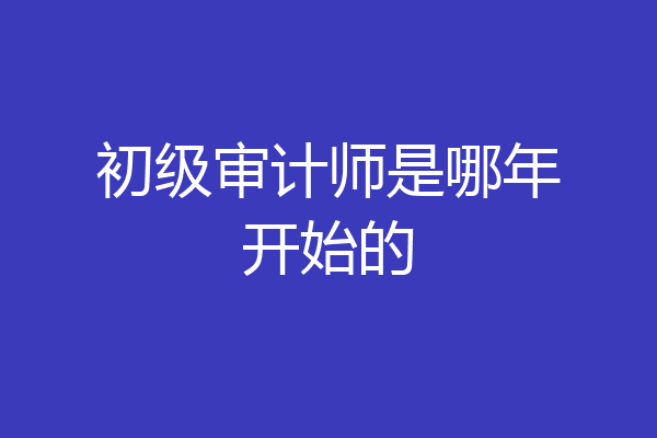 初级审计师是哪年开始的
