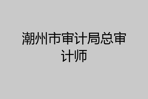 潮州市审计局总审计师