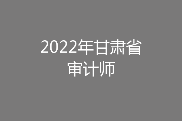2022年甘肃省审计师