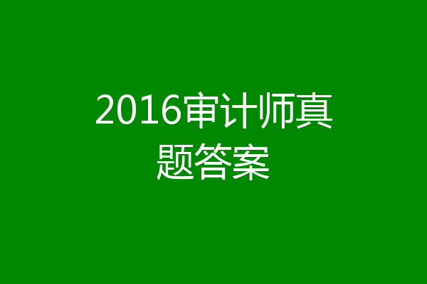 2016审计师真题答案