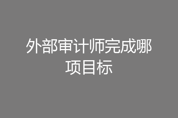外部审计师完成哪项目标