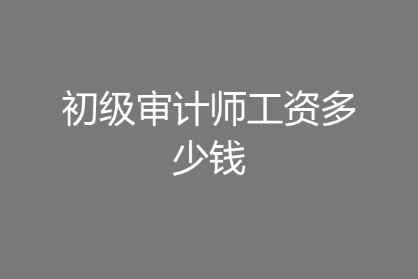 初级审计师工资多少钱