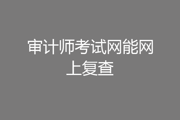 审计师考试网能网上复查