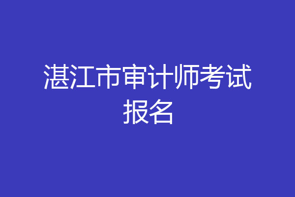 湛江市审计师考试报名
