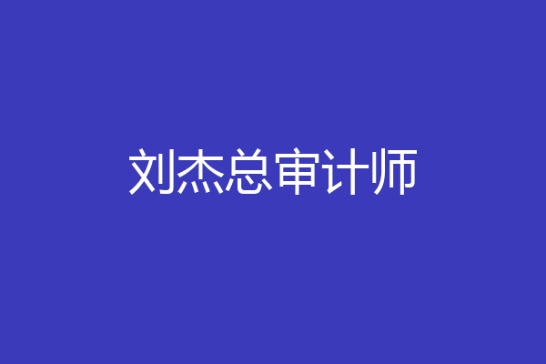 刘杰总审计师