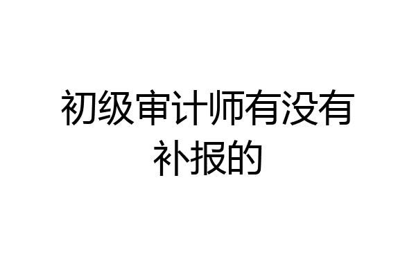 初级审计师有没有补报的