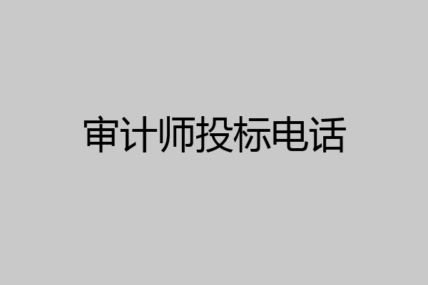 审计师投标电话