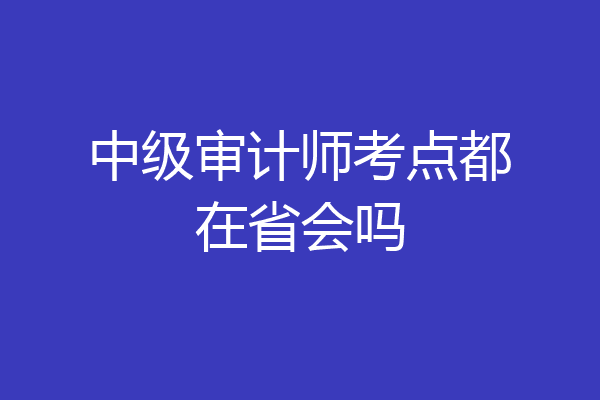 中级审计师考点都在省会吗