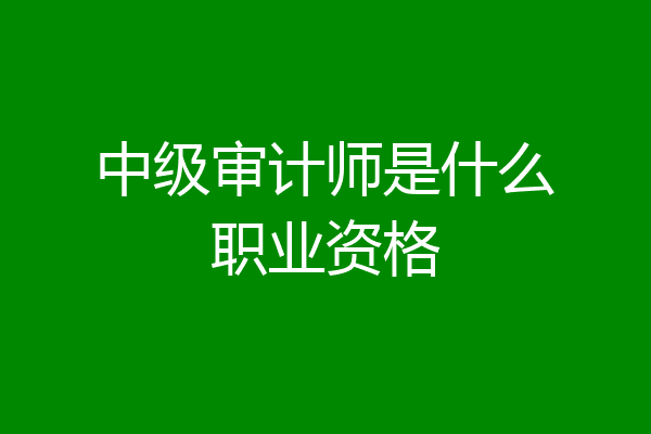 中级审计师是什么职业资格