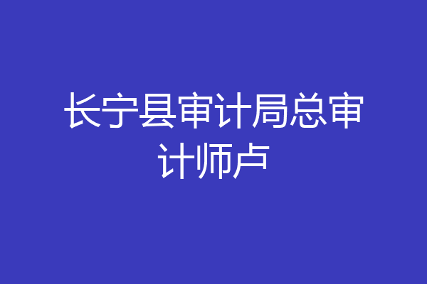 长宁县审计局总审计师卢