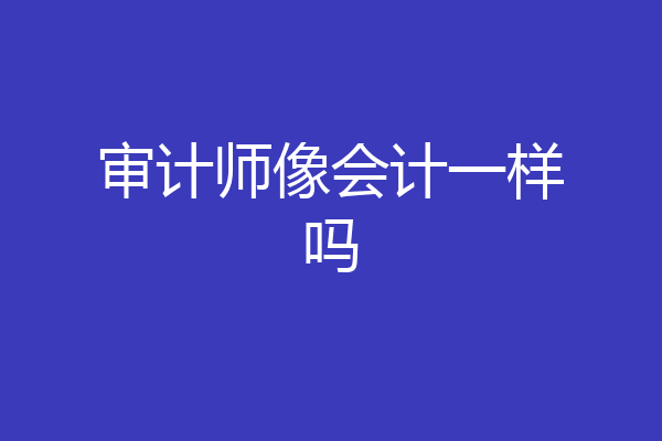 审计师像会计一样吗