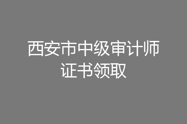 西安市中级审计师证书领取