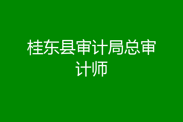 桂东县审计局总审计师
