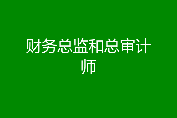 财务总监和总审计师