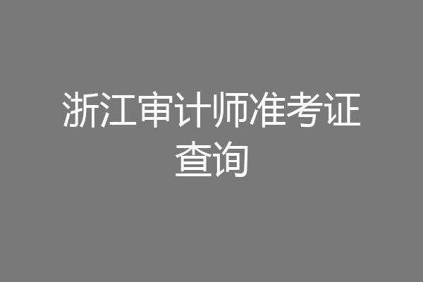 浙江审计师准考证查询