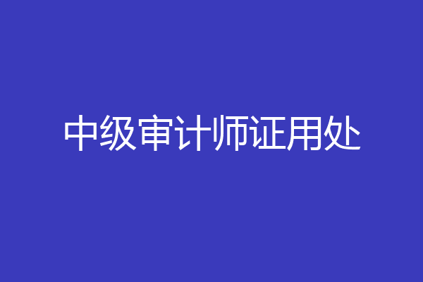 中级审计师证用处