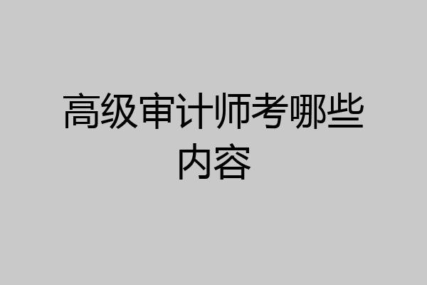 高级审计师考哪些内容