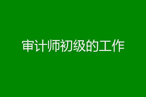审计师初级的工作