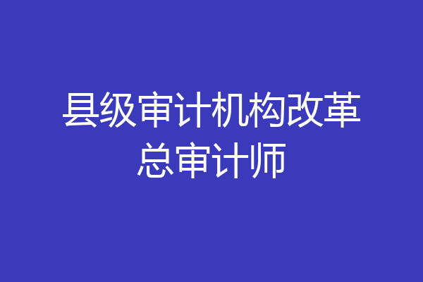县级审计机构改革总审计师