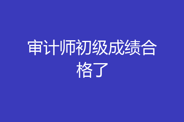 审计师初级成绩合格了