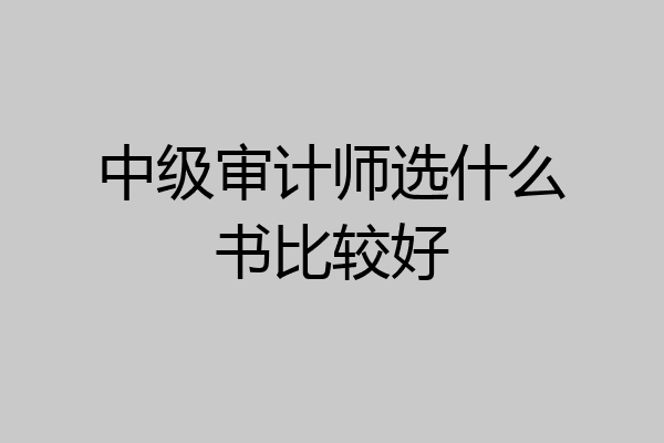 中级审计师选什么书比较好