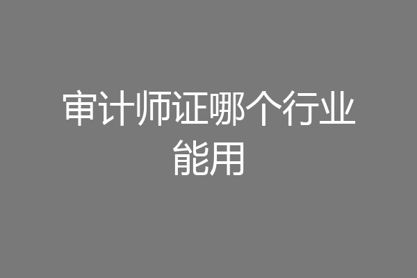审计师证哪个行业能用